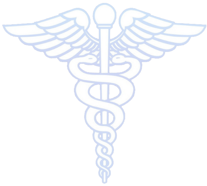 STPC LOGO - no back ground_edited.png